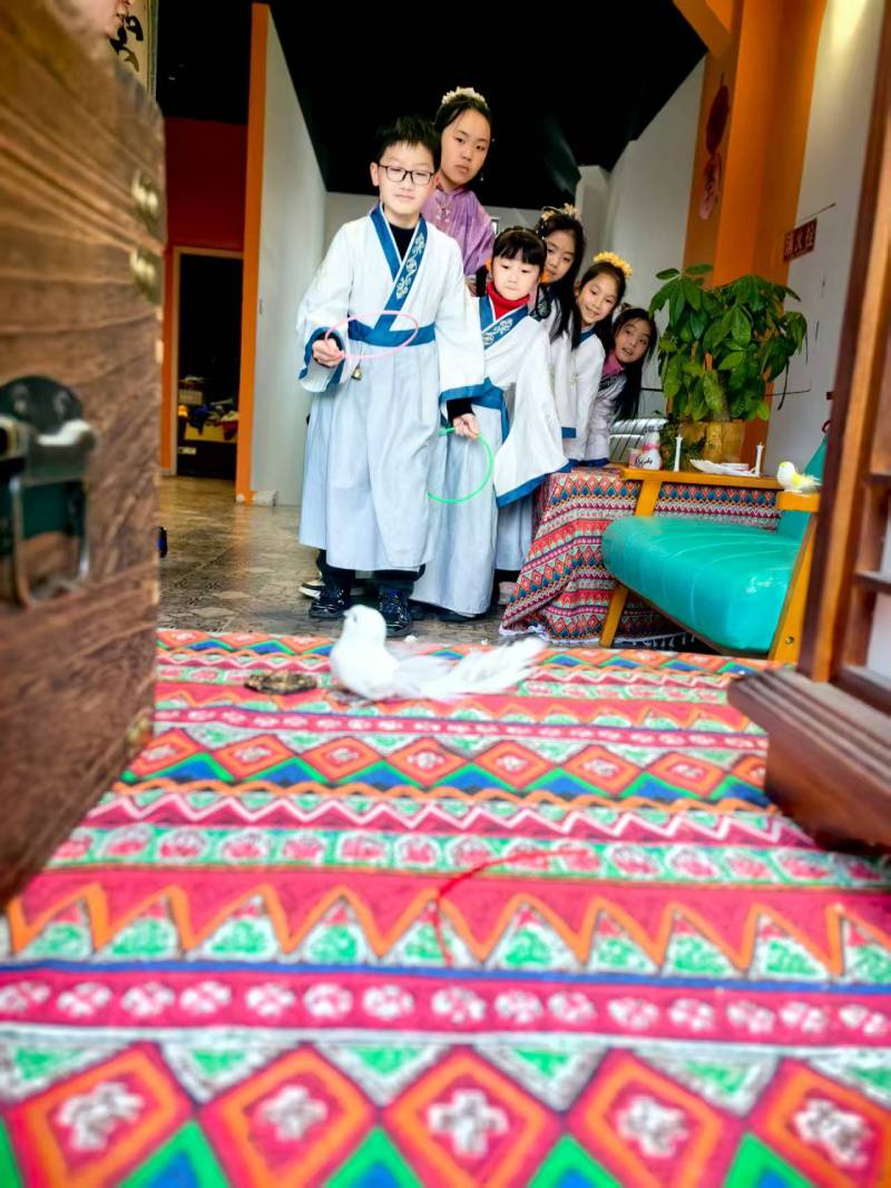 北票市活动策划